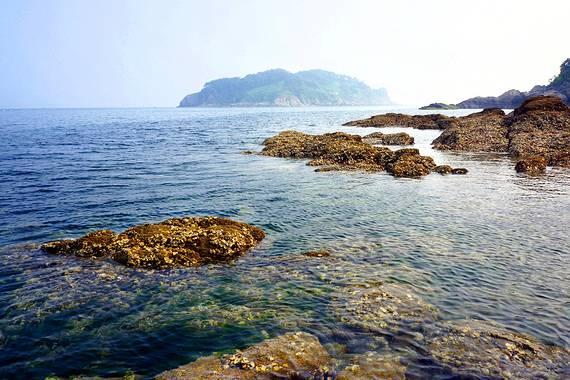 邻居的需求